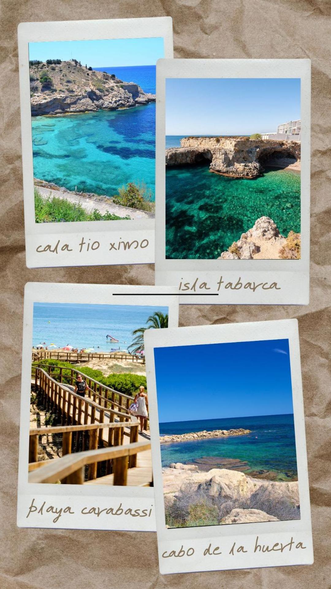Guesthouse Shared With Host Alicante Bagian luar foto